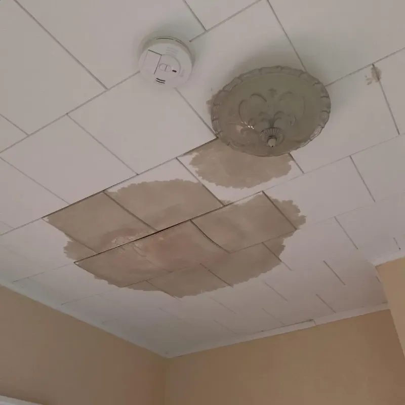 Ceiling Water Damage Repair in East Griffin, GA